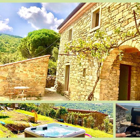 Bio Agriturismo Alba Etrusca Di Cortona - Organic Farmhouse- Appartamento Lavanda-Appartamento Rosmarino - Vasca Idromassaggio Esterna Poggioni 外观 照片