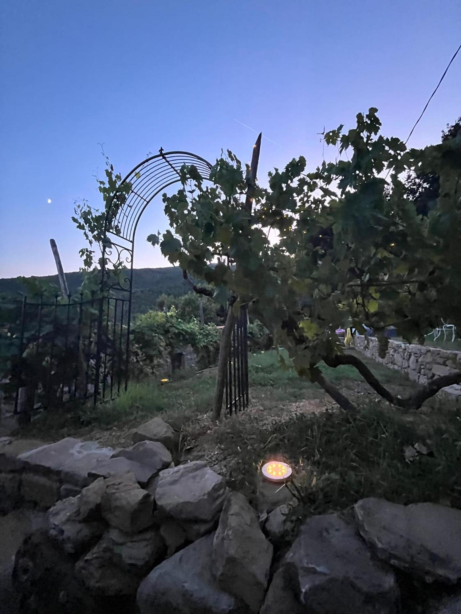 Bio Agriturismo Alba Etrusca Di Cortona - Organic Farmhouse- Appartamento Lavanda-Appartamento Rosmarino - Vasca Idromassaggio Esterna Poggioni 外观 照片