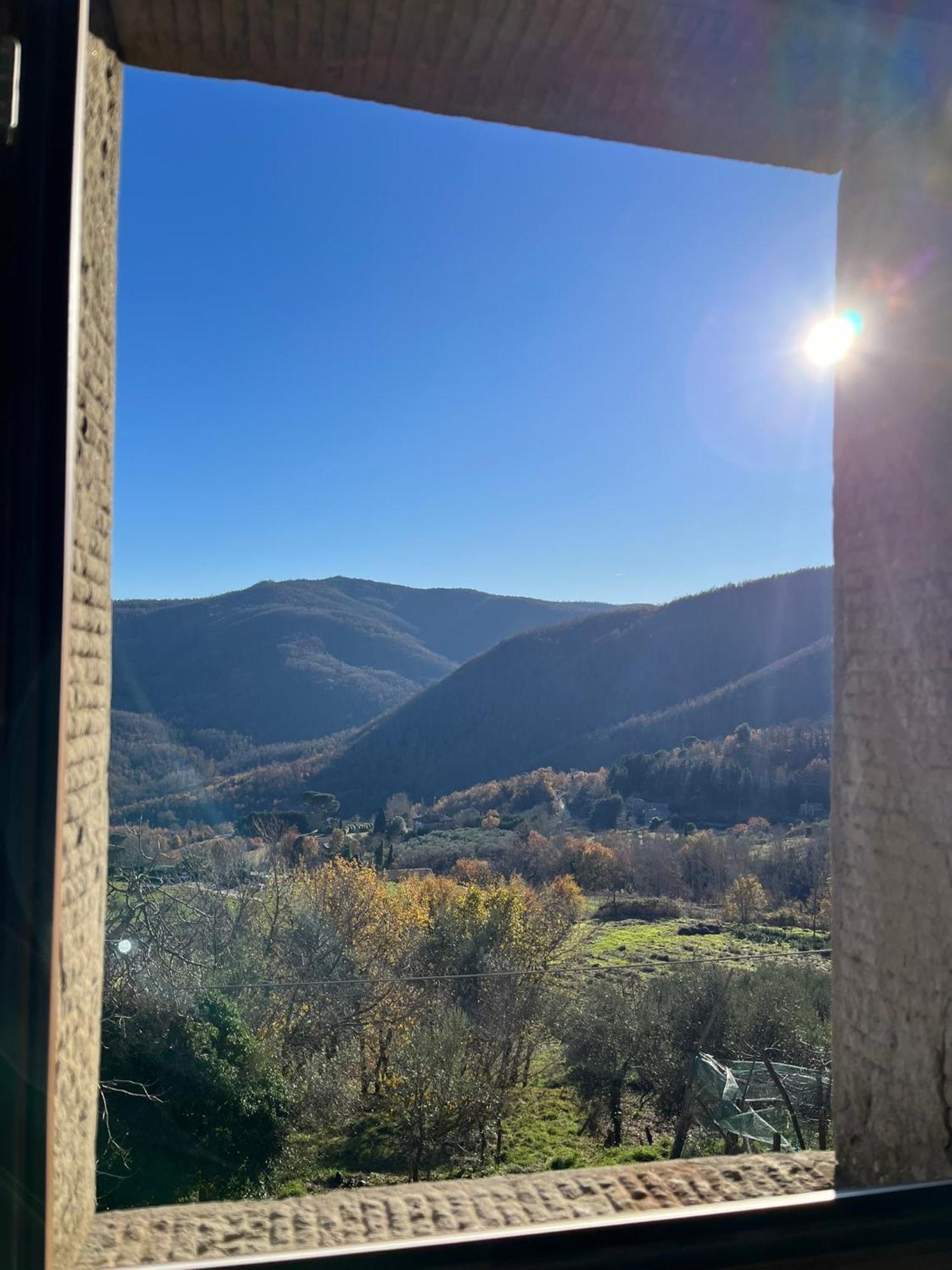 Bio Agriturismo Alba Etrusca Di Cortona - Organic Farmhouse- Appartamento Lavanda-Appartamento Rosmarino - Vasca Idromassaggio Esterna Poggioni 外观 照片